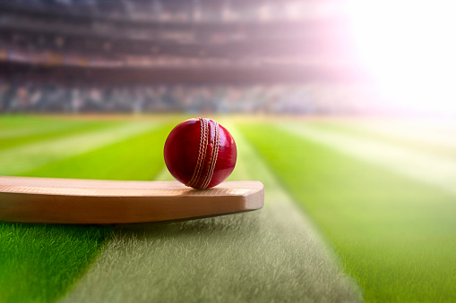 यू–१९ क्रिकेट सुदूरपश्चिम छनोट : डडेल्धुरा फाइनलमा